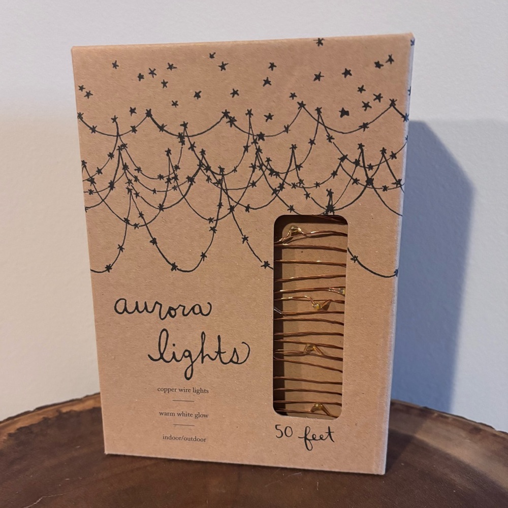 Anthropologie Copper Wire LED String Lights
